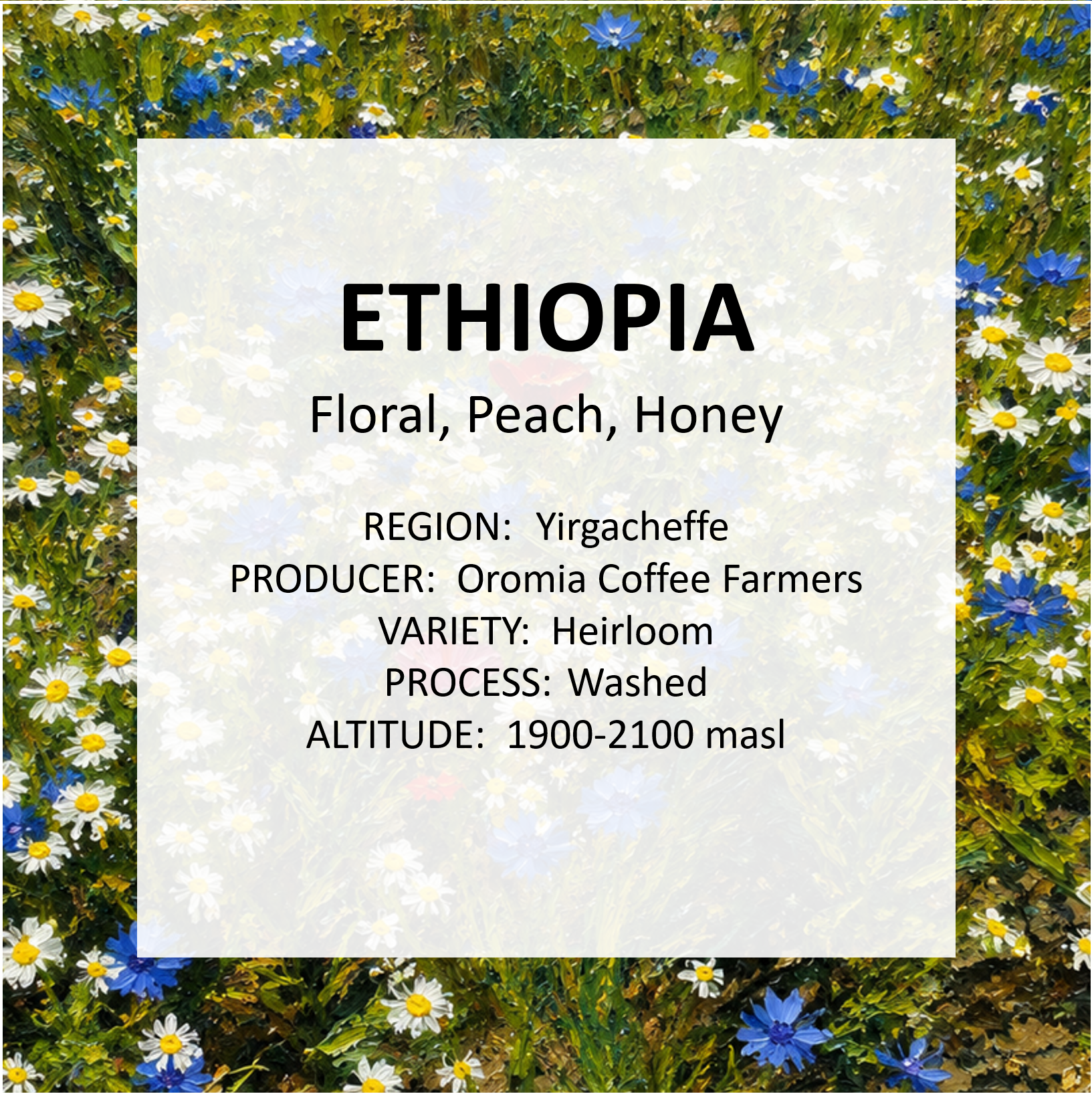 Ethiopia - Image 1