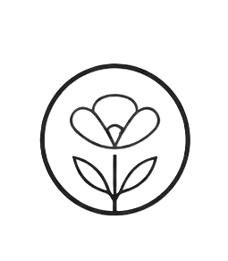 Meadow Coffee Roasters