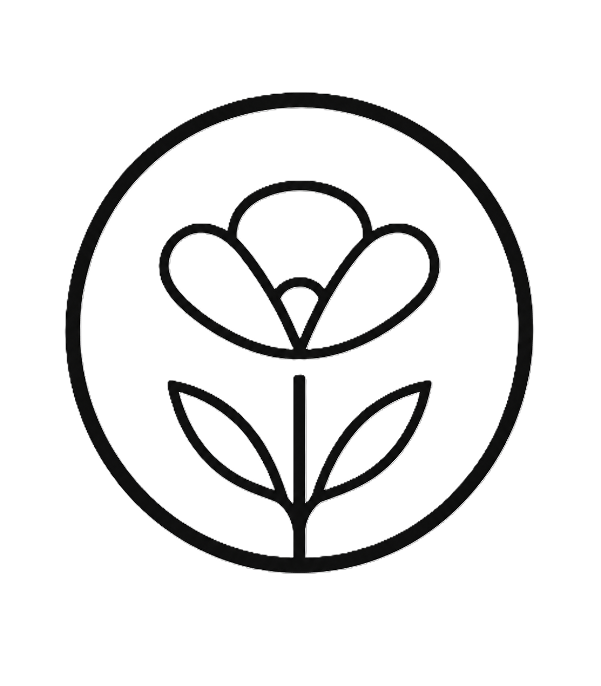 Meadow Coffee Roasters